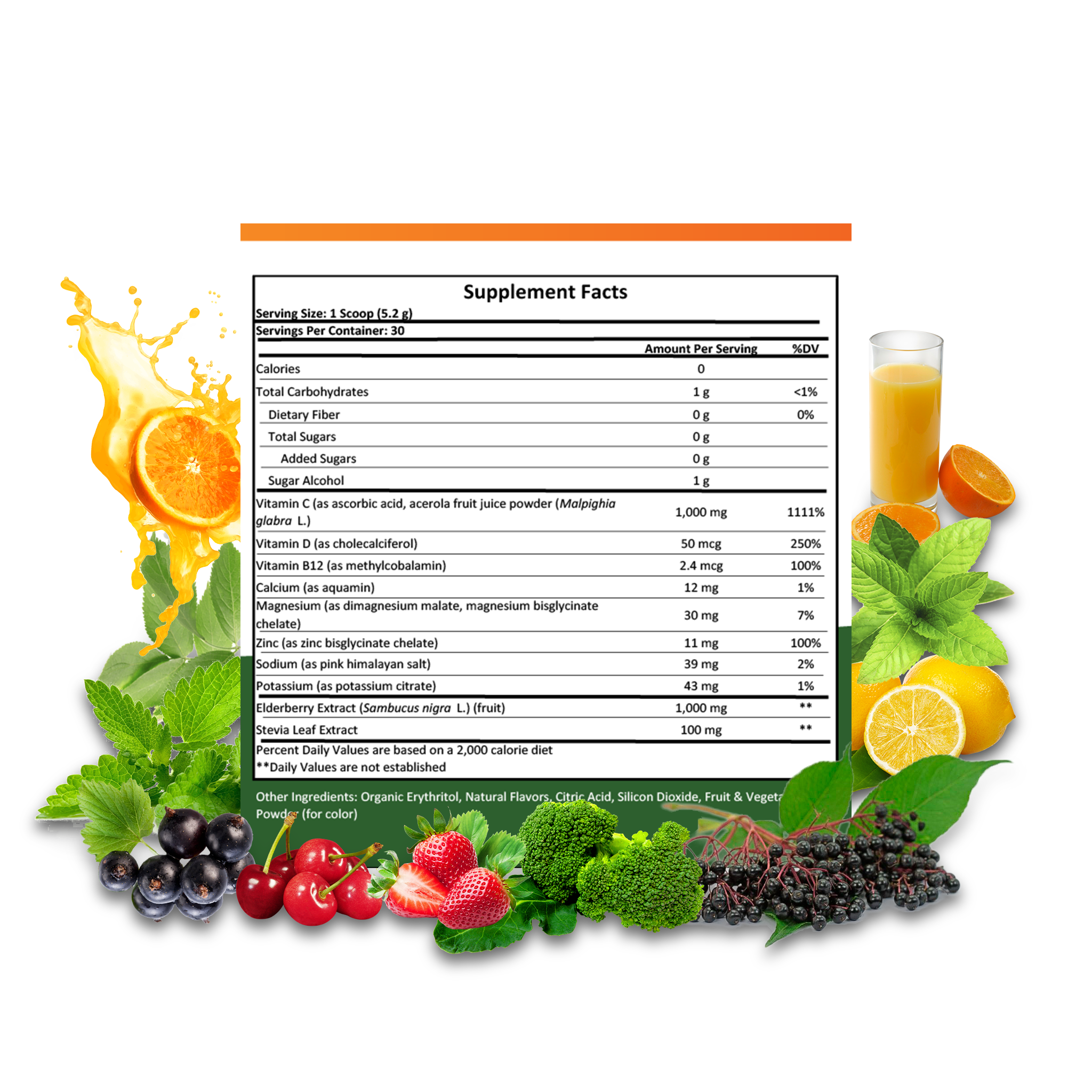 Elderberry Total Defense | Zinc & Vitamin C | 156g Powder